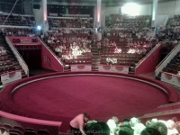 14-06-5-12-olympiad-in-moscow-20