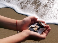 118_3-8-04-2015_academy_of_pop_musik_by_igor_krutoy