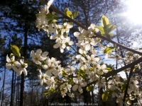 119_3-8-04-2015_academy_of_pop_musik_by_igor_krutoy