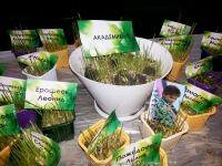 121_3-8-04-2015_academy_of_pop_musik_by_igor_krutoy