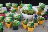 151_3-8-04-2015_academy_of_pop_musik_by_igor_krutoy