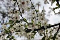 293_3-8-04-2015_academy_of_pop_musik_by_igor_krutoy