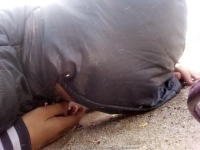 301_3-8-04-2015_academy_of_pop_musik_by_igor_krutoy