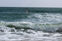 338_3-8-04-2015_academy_of_pop_musik_by_igor_krutoy