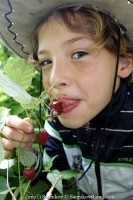 000011-timoti-sannikov-new-wave-junior-2015