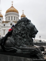 Храм Христа Спасителя 2013-11-26-12-01-timoti-sannikov-concert-tour-in-moscow-153