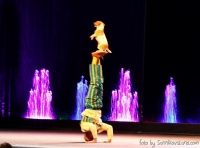 Театр танцующих фонтанов-билеты-в подарок от зрителя 2013-11-26-12-01-timoti-sannikov-concert-tour-in-moscow-287