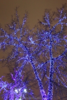 new-year-story-in-moscow-2014-2015-40